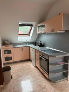 Kuchyň nebo kuchyňský kout v ubytování Apartmany U Stareho Labe
