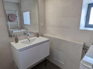 un bagno bianco con lavandino e specchio di Gîte spacieux et rénové avec jardin, proche châteaux de la Loire, pour 10 pers. - FR-1-590-361 a Huisseau-sur-Mauves Altre 27 foto
