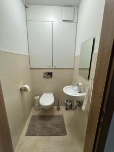 a bathroom with a toilet and a sink and a mirror at Lelle Resort Apartman in Balatonlelle +24 photos