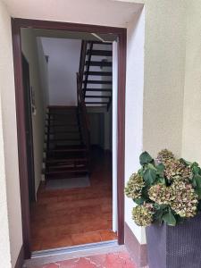 Fotografie z fotogalerie ubytování Apartmany U Stareho Labe v Nymburku