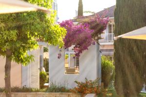 Zahrada ubytování Portvillas by Villa Safiya