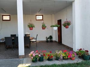 Zahrada ubytování Miki Private Room