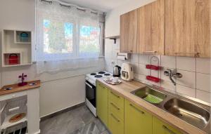 een keuken met een spoelbak en een fornuis bij Nice Apartment In Pula With Wifi in Pula