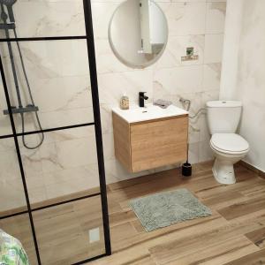 a bathroom with a toilet and a sink and a mirror at Holiday Home Magnolia in Trakošćan