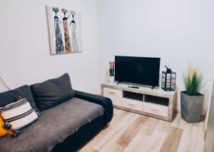 Televízia a/alebo spoločenská miestnosť v ubytovaní Apartments Stone House