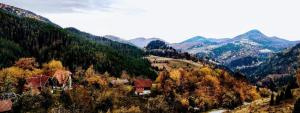 Příroda nedaleko apartmánu