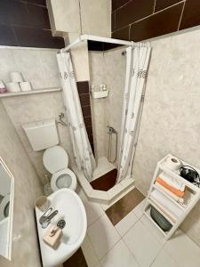 a bathroom with a shower and a toilet and a sink at Montenegrina Apartment in Budva