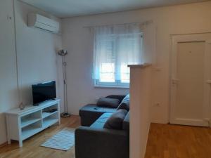 a living room with a couch and a television at apartma pika 2 in Nova Gorica