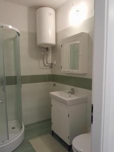 a bathroom with a sink and a shower and a toilet at apartma pika 2 in Nova Gorica +3 photos