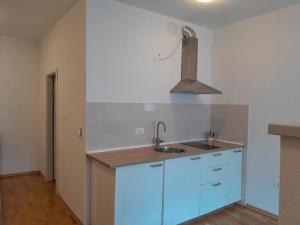 a kitchen with blue cabinets and a sink at apartma pika 2 in Nova Gorica