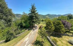 an overhead view of a road with a tree at Ca' Fortuzzi in Marzabotto