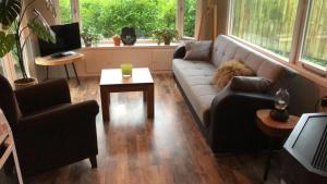 a cat laying on a couch in a living room at Huisje bij de Bronnen in Nutter