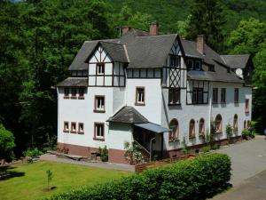 a large white house with a black roof at Wald Villa Üssbach in Alf