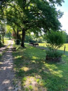 Zahrada ubytování Le gîte Gabriel