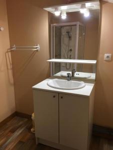 a bathroom with a sink and a mirror at La ferme d'ernest in Marnay +3 photos