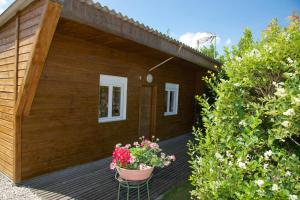 a building with a pot of flowers on a deck at Le nid d'hirondelles in Bouy-Luxembourg +6 photos