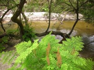 Gallery image of Gite de tambourin in Argelouse