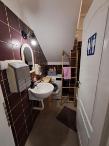 un piccolo bagno con lavandino e WC di Sofi a Niš