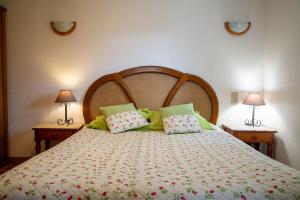 a bedroom with a large bed with two lamps at Gîte la parro 2/4 personnes in Cultures