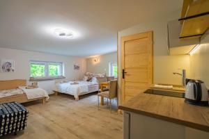 シュクラルスカ・ポレンバにあるZaciszne Centrumのキッチン、リビングルーム(ベッドルーム付)
