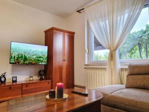 Televízia a/alebo spoločenská miestnosť v ubytovaní Apartman PP 13