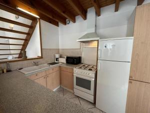 a kitchen with a white refrigerator and a sink at Rose in Biscarrosse