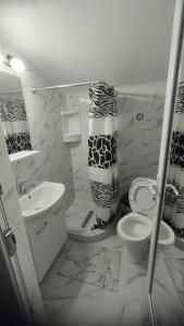 a bathroom with a toilet and a sink at Vila Bianca in Mangalia