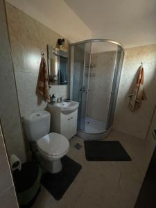 a bathroom with a toilet and a shower and a sink at Vila Bianca in Mangalia +5 photos