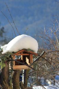 Fotografie z fotogalerie ubytování Apartment Andrea - Chiemgau Karte v destinaci Inzell