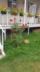 Giardino di guest house lela rezo