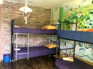 Lliteres en una habitació de Hostel Anton