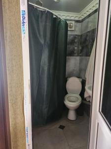 a bathroom with a toilet and a shower curtain at Iason Guest House in Mazeri in Mestia +48 photos