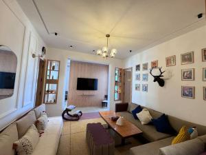 Μια τηλεόραση ή/και κέντρο ψυχαγωγίας στο Loft art-déco centre-ville Casa