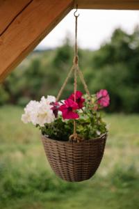 Afbeelding uit fotogalerij van Village House Akar in Livno +34 foto's