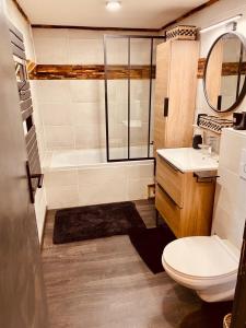 łazienka z prysznicem, toaletą i umywalką w obiekcie Can Sansa Appartement 4* jacuzzi maison pyrénéenne w mieście Font-Romeu-Odeillo-Via
