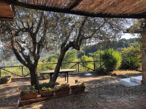 a picnic table under a tree in a yard at Splendid cottage on Tuscan Sea in Porto Santo Stefano