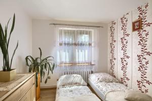 a living room with a couch and a window at Apartament U Jagody in Tylicz