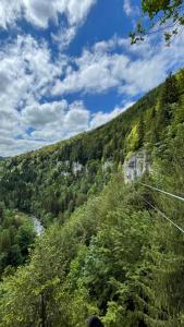 Příroda nedaleko vily