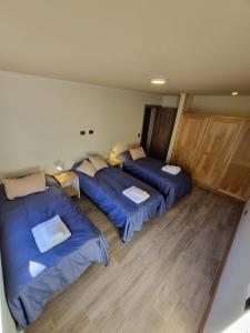 three beds in a room with blue sheets at Del Lacar - Andarlibre in San Martín de los Andes