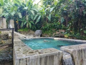 a swimming pool in the middle of a forest at KANALU BEACH APPATEMENT in Bouillante