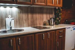 a kitchen with a sink and a counter top at Lucky home in Čatež ob Savi