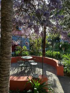 a table and chairs under a tree with purple flowers at Villa del Parco in Poggi