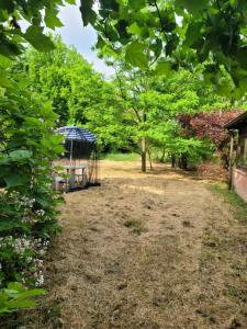 Zahrada ubytování B&B Arcadia