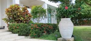 Zahrada ubytování Tolú mágico, apartamentos amoblados con vista al mar, Elegancia y comodidad