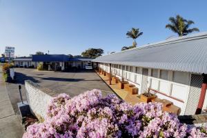 a building with purple flowers in front of it at Bali Hi Motel in Tuncurry