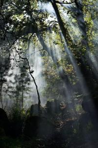 Gallery image of Casa A Criscada in Fornelos de Montes