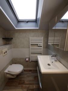 La salle de bains est pourvue de toilettes, d'un lavabo et d'une lucarne. dans l'établissement Petite maison de village, à Chamouilley 4 autres photos