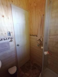 een badkamer met een douche, een toilet en een deur bij Chon-Vilú in Chonchi