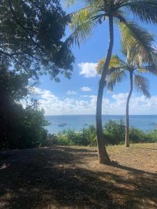 Природа в окрестностях дома для отпуска +4 фотографии