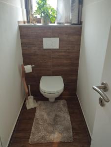 a small bathroom with a toilet and a rug at Kathis Burgblick in Rottenmann +5 photos